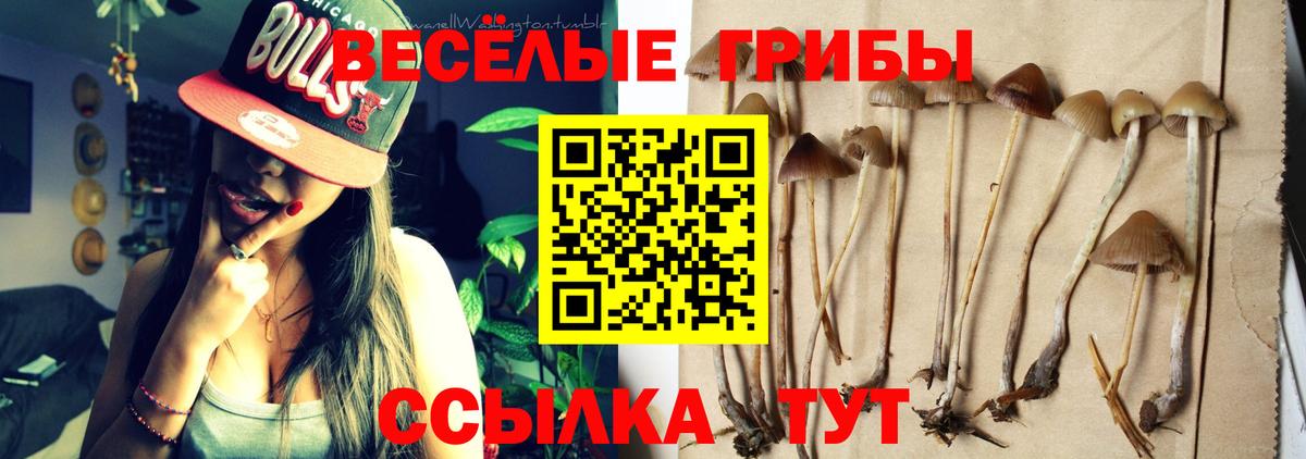 Галлюциногенные грибы Cubensis Ступино